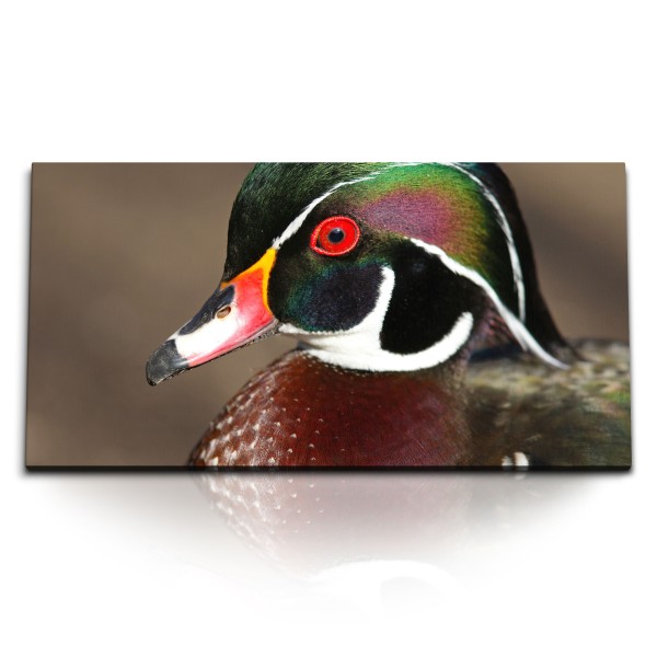 Paul Sinus Art Kunstdruck Bilder 120x60cm Waldente Ente Tierfotografie Natur Vogel