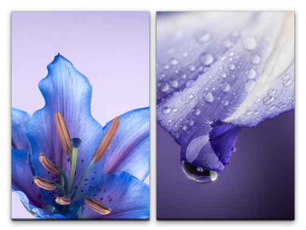 Paul Sinus Art 2 Bilder je 60x90cm Orchidee blaue Blüte Blumen Sommer Frisch Entspannend Makrofotografie