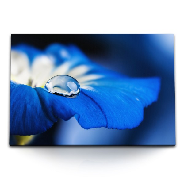 Paul Sinus Art 120x80cm Wandbild auf Leinwand Blaue Blume mit Wassertropfen Kunstvoll Blüte