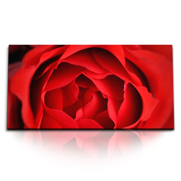 Paul Sinus Art Kunstdruck Bilder 120x60cm Rosenblüte Rose Rot Blume Schlafzimmer Fotokunst