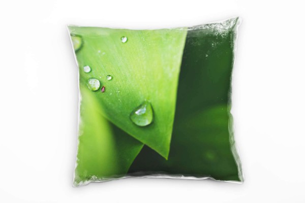 Paul Sinus Art Macro, Natur, Blätter, Wassertropfen, grün Deko Kissen 40x40cm für Couch Sofa Lounge Zierkissen