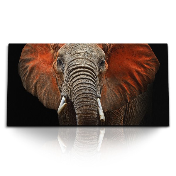 Paul Sinus Art Kunstdruck Bilder 120x60cm Elefant Tierfotografie schwarzer Hintergrund Stoßzähne