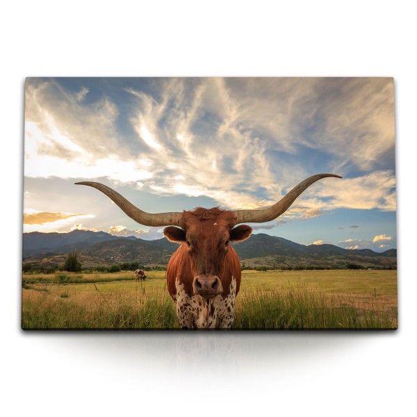 Paul Sinus Art 120x80cm Wandbild auf Leinwand Texas Longhorn Stier Bulle Tierfotografie Rind