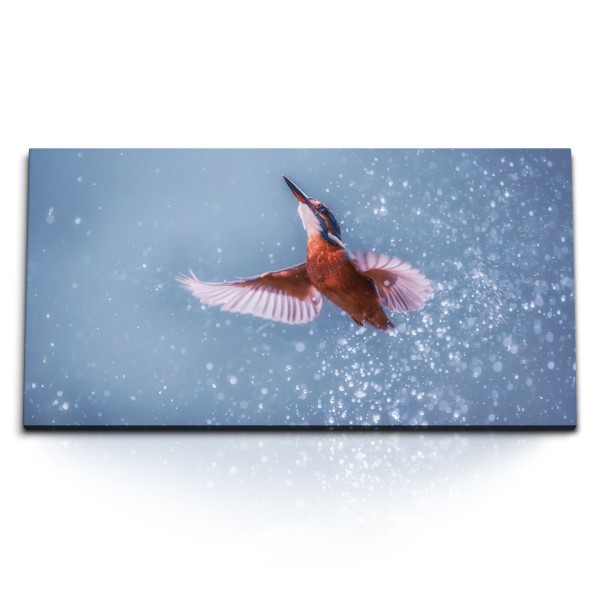 Paul Sinus Art Kunstdruck Bilder 120x60cm Eisvogel Wasser kleiner Vogel Tierfotografie Kunstvoll