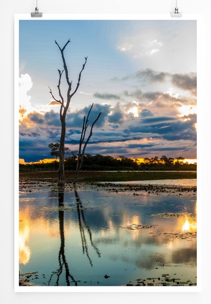 Paul Sinus Art 90x60cm Poster Farbenfroher Sonnenaufgang Pantanal Brasilien