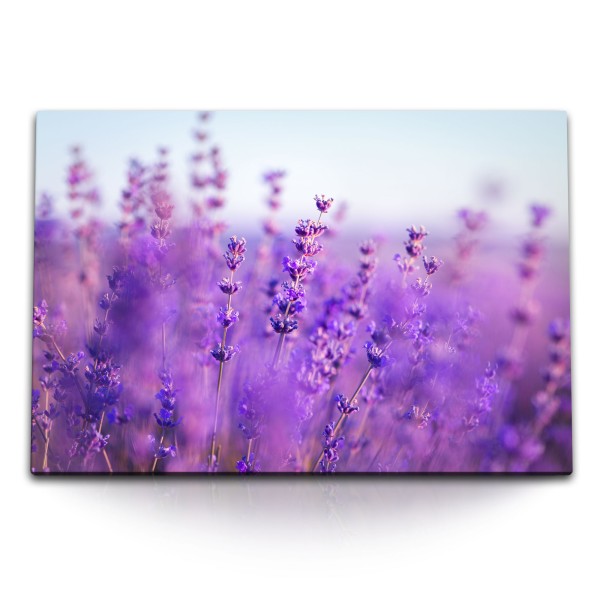 Paul Sinus Art 120x80cm Wandbild auf Leinwand Lavendel Lavendelfeld Natur Violett Blumen