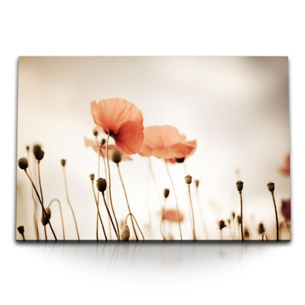 Paul Sinus Art 120x80cm Wandbild auf Leinwand Mohnblumen Feldblumen Wildblumen Fotokunst rote Blumen