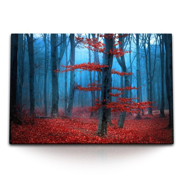 Paul Sinus Art 120x80cm Wandbild auf Leinwand Wald rote Blätter Herbst Natur Blau