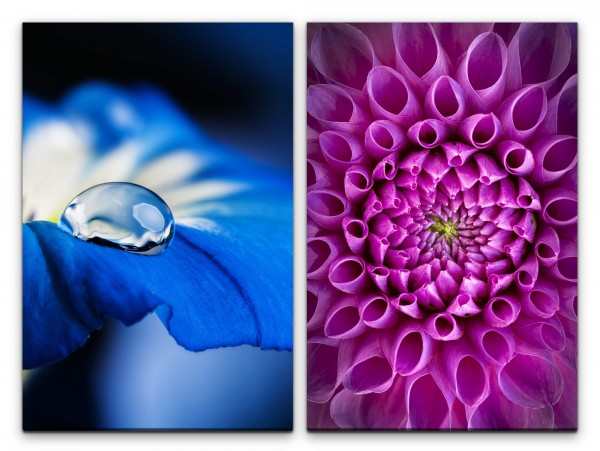 Paul Sinus Art 2 Bilder je 60x90cm Dahlie Wassertropfen blaue Blüte Blumen Farbenfroh Meditation Makrofotografie