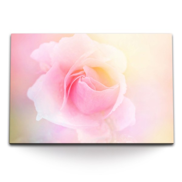 Paul Sinus Art 120x80cm Wandbild auf Leinwand Blume Blüte Rosa Hell Kunstvoll Rose