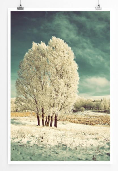 Paul Sinus Art 90x60cm Poster Gefrorene Winterlandschaft mit Baum