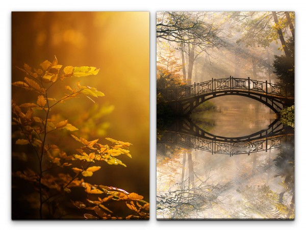 Paul Sinus Art 2 Bilder je 60x90cm Wald junger Baum Herbst Holzbrücke Sonnenstrahlen Märchenhaft Fluss