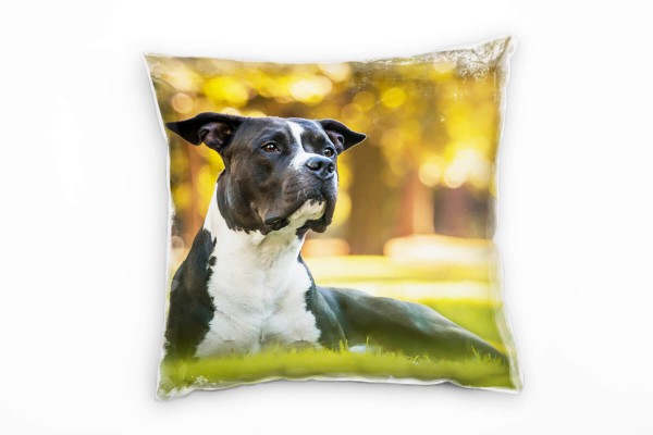 Paul Sinus Art Tiere, Hund, liegender Terrier, grün, braun, weiß Deko Kissen 40x40cm für Couch Sofa Lounge Zierkiss