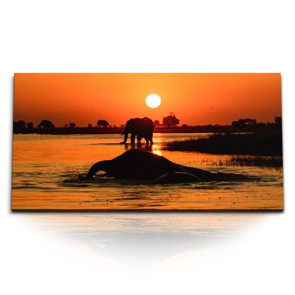 Paul Sinus Art Kunstdruck Bilder 120x60cm Elefanten Thailand Fluss Sonnenuntergang Abendrot