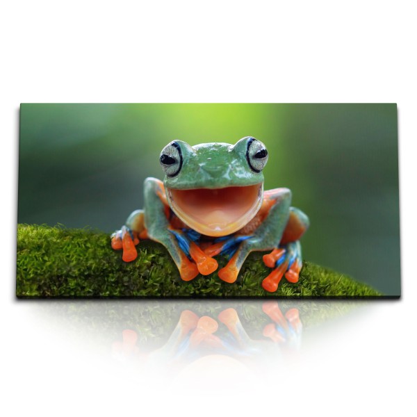 Paul Sinus Art Kunstdruck Bilder 120x60cm Grüner Frosch Exotisch Tropisch Tierfotografie