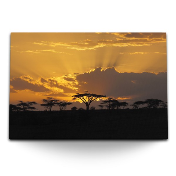 Paul Sinus Art 120x80cm Wandbild auf Leinwand Afrikanische Landschaft Abendrot Wildnis Natur