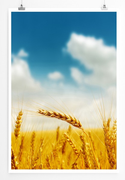 Paul Sinus Art 90x60cm Poster Goldene Ähren mit Wolkenhimmel