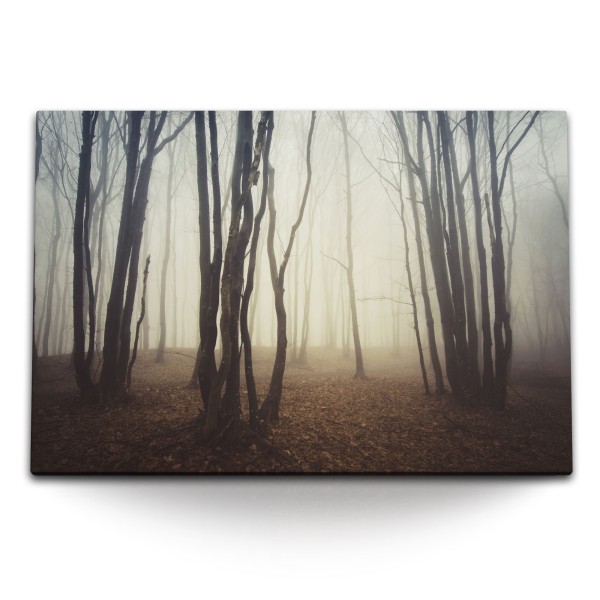 120x80cm Wandbild auf Leinwand Wald Nebel Bäume Dunkle Finster Natur