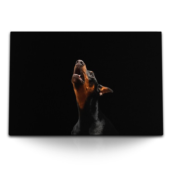 Paul Sinus Art 120x80cm Wandbild auf Leinwand Dobermann Hund Schwarz Tierfotografie