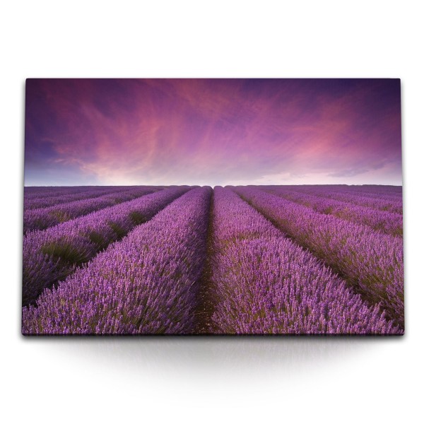 Paul Sinus Art 120x80cm Wandbild auf Leinwand Lavendelfeld Lavendel Lila Violett Horizont Himmel