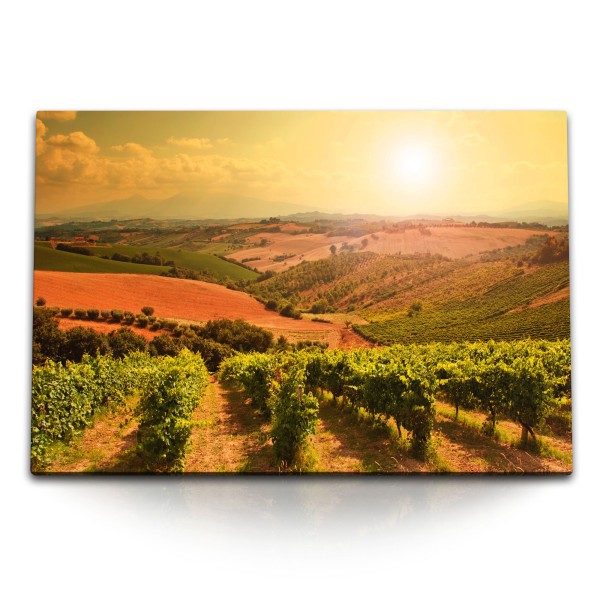 Paul Sinus Art 120x80cm Wandbild auf Leinwand Weinfelder Weinreben Natur Landschaft Sonnenuntergang