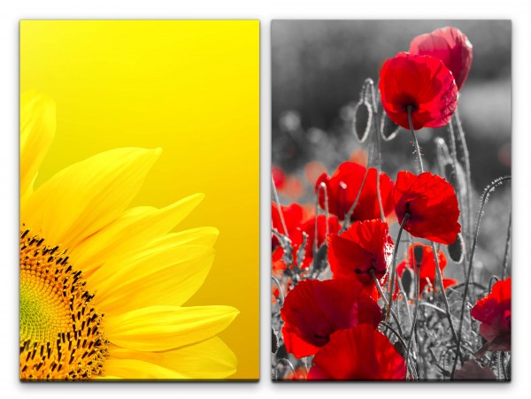 Paul Sinus Art 2 Bilder je 60x90cm Sonnenblume Gelb Mohnblume Blumen Blüten Sommer Makrofotografie