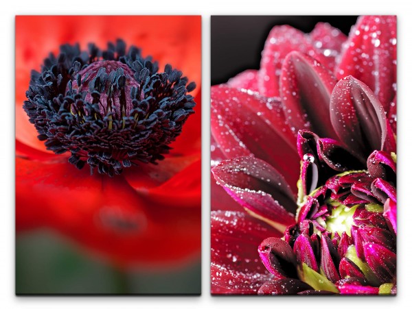 Paul Sinus Art 2 Bilder je 60x90cm Zinnien Blumen Mohnblume Rot Blüten Nahaufnahme Makro