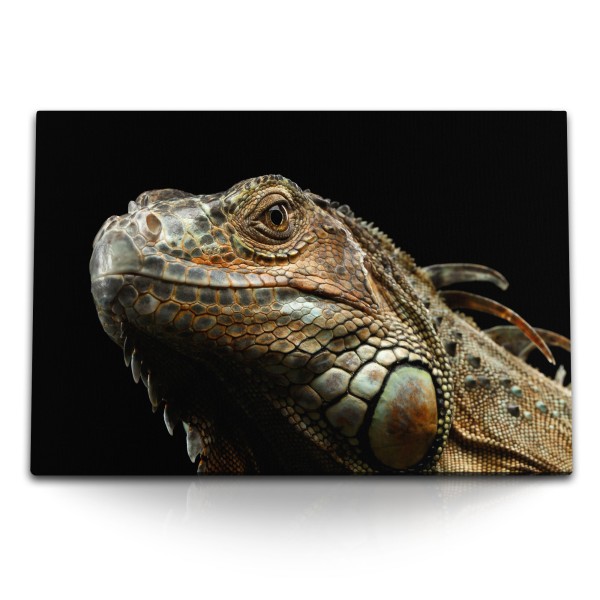 Paul Sinus Art 120x80cm Wandbild auf Leinwand Iguana Grüner Leguan Reptil Echse schwarzer Hintergrund