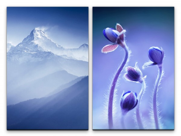 Paul Sinus Art 2 Bilder je 60x90cm Berggipfel Schnee Blau Himalaya Blumen Berg Wind