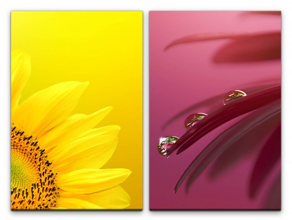 Paul Sinus Art 2 Bilder je 60x90cm Dahlie Sonnenblume Gelb Blumen Wassertropfen Purpur Makrofotografie