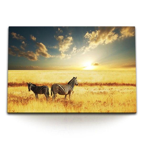 Paul Sinus Art 120x80cm Wandbild auf Leinwand Zwei Zebras afrikanische Landschaft Sonnenuntergang