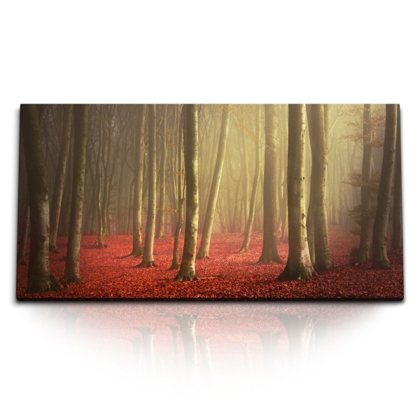 Paul Sinus Art Kunstdruck Bilder 120x60cm Wald Bäume Natur Herbst rote Herbstblätter