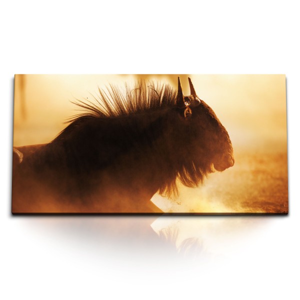 Paul Sinus Art Kunstdruck Bilder 120x60cm Afrika Wildnis Tierfotografie Gnu Sand Bulle