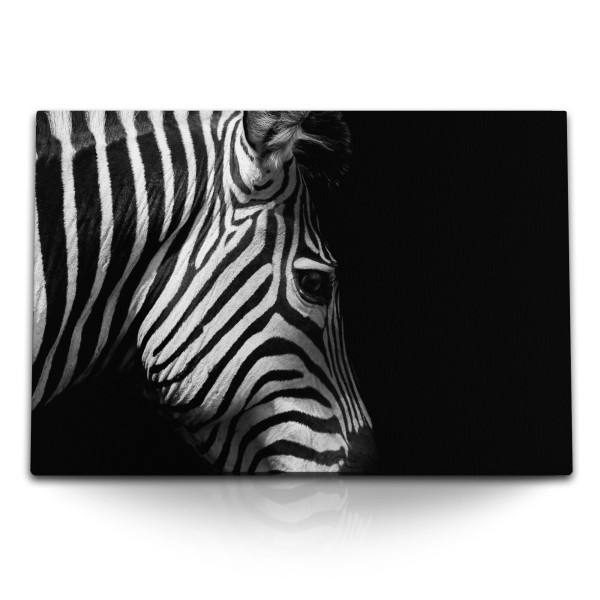 Paul Sinus Art 120x80cm Wandbild auf Leinwand Tierfotografie Zebra Schwarz Weiß Kunstvoll