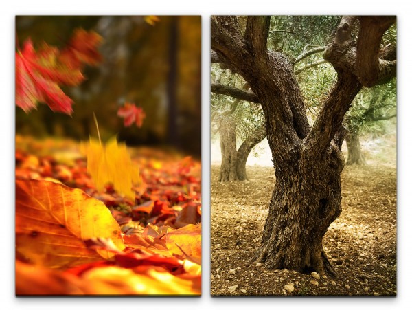 Paul Sinus Art 2 Bilder je 60x90cm Herbst Wald goldene Blätter alter Baum Waldboden Gemütlich Laub