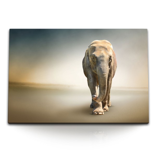 Paul Sinus Art 120x80cm Wandbild auf Leinwand Elefant Tierfotografie Kunstvoll Horizont Afrika