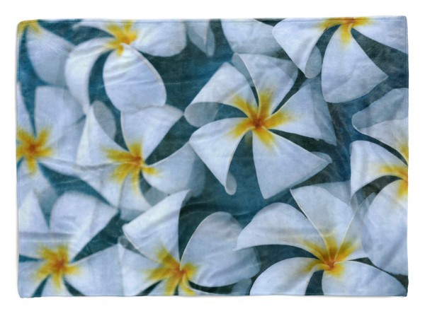 Paul Sinus Art Handtuch Strandhandtuch Saunatuch Kuscheldecke mit Fotomotiv Plumeria Blumen we