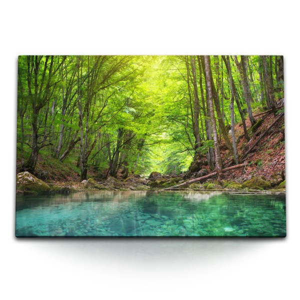 Paul Sinus Art 120x80cm Wandbild auf Leinwand Natur Wald Bach Fluss Wasser Grün