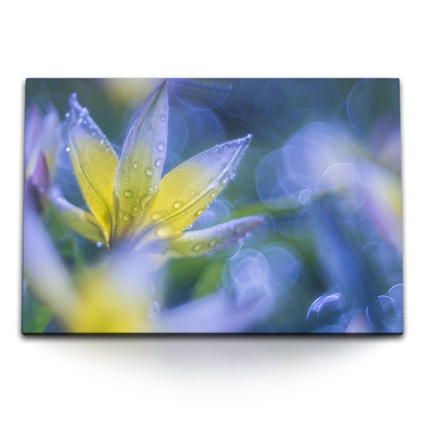 Paul Sinus Art 120x80cm Wandbild auf Leinwand Blume Blüte Fotokunst Nahaufnahme Regentropfen Blau