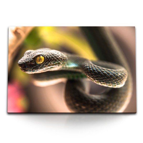 Paul Sinus Art 120x80cm Wandbild auf Leinwand Kleine Schlange Grün Tierfotografie Reptil Exotisch