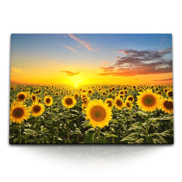 120x80cm Wandbild auf Leinwand Sonnenblumenfeld Sonnenblumen Gelb Sonnenuntergang