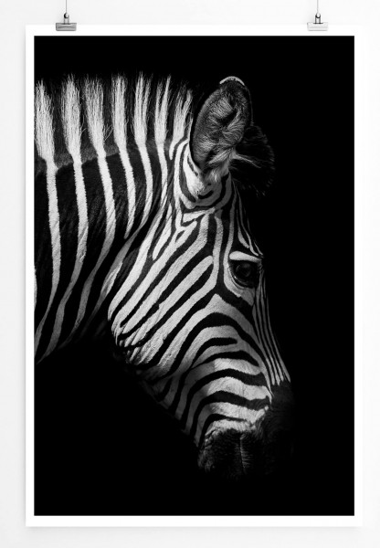 Paul Sinus Art Tierfotografie 60x90cm Poster Zebra im Seitenprofil