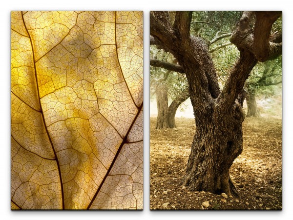 2 Bilder je 60x90cm Herbstblatt alter Baum Natur Herbst Heilsam Kraft positive Energie