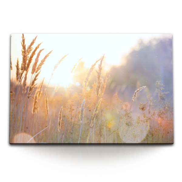 Paul Sinus Art 120x80cm Wandbild auf Leinwand Weizen Weizenfeld Halme Sommer Landschaft Natur