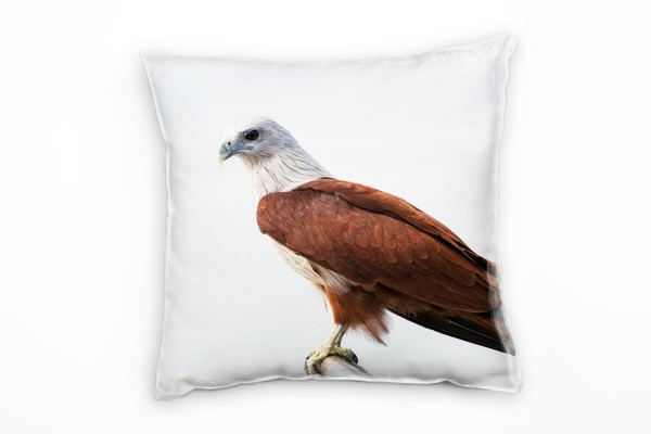 Paul Sinus Art Tiere, Brahminenweih, Vogel, braun, weiß, blau Deko Kissen 40x40cm für Couch Sofa Lounge Zierkissen