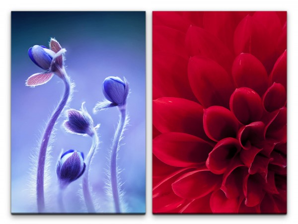 Paul Sinus Art 2 Bilder je 60x90cm Dahlie Blumen Rot Blau Nahaufnahme Makro Fotokunst