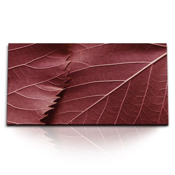 Paul Sinus Art Kunstdruck Bilder 120x60cm Makrofotografie Herbstblatt Natur Blatt Baum Rot