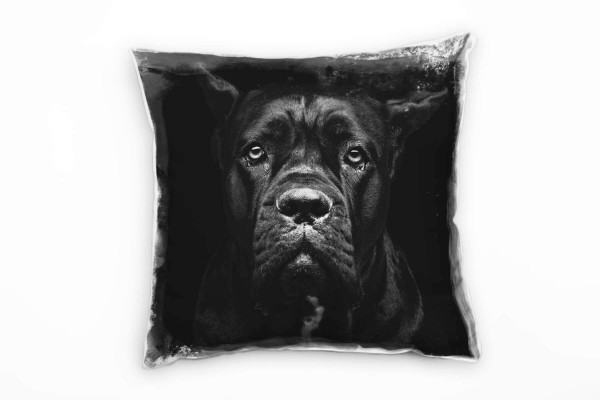 Tiere, Dogge, Portrait, schwarz Deko Kissen 40x40cm für Couch Sofa Lounge Zierkissen