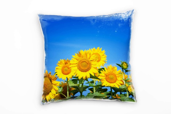 Paul Sinus Art Macro, Sonnenblumen, gelb, blauer Himmel, Deko Kissen 40x40cm für Couch Sofa Lounge Zierkissen