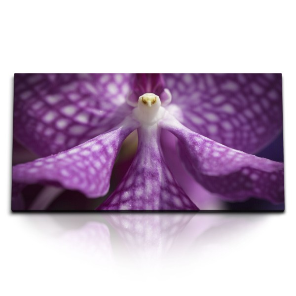 Paul Sinus Art Kunstdruck Bilder 120x60cm Orchidee Violette Blume Blüte Kunstvoll Nahaufnahme